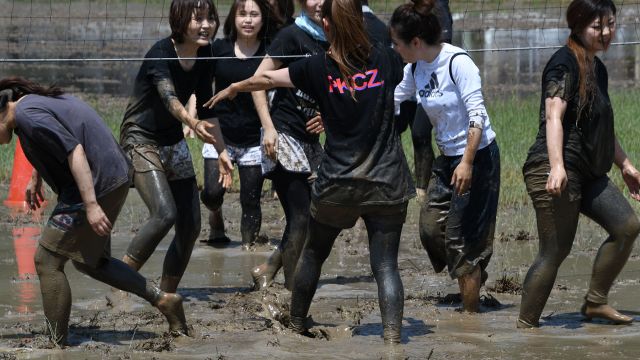 「春たんぼ」各会場にて(H30)